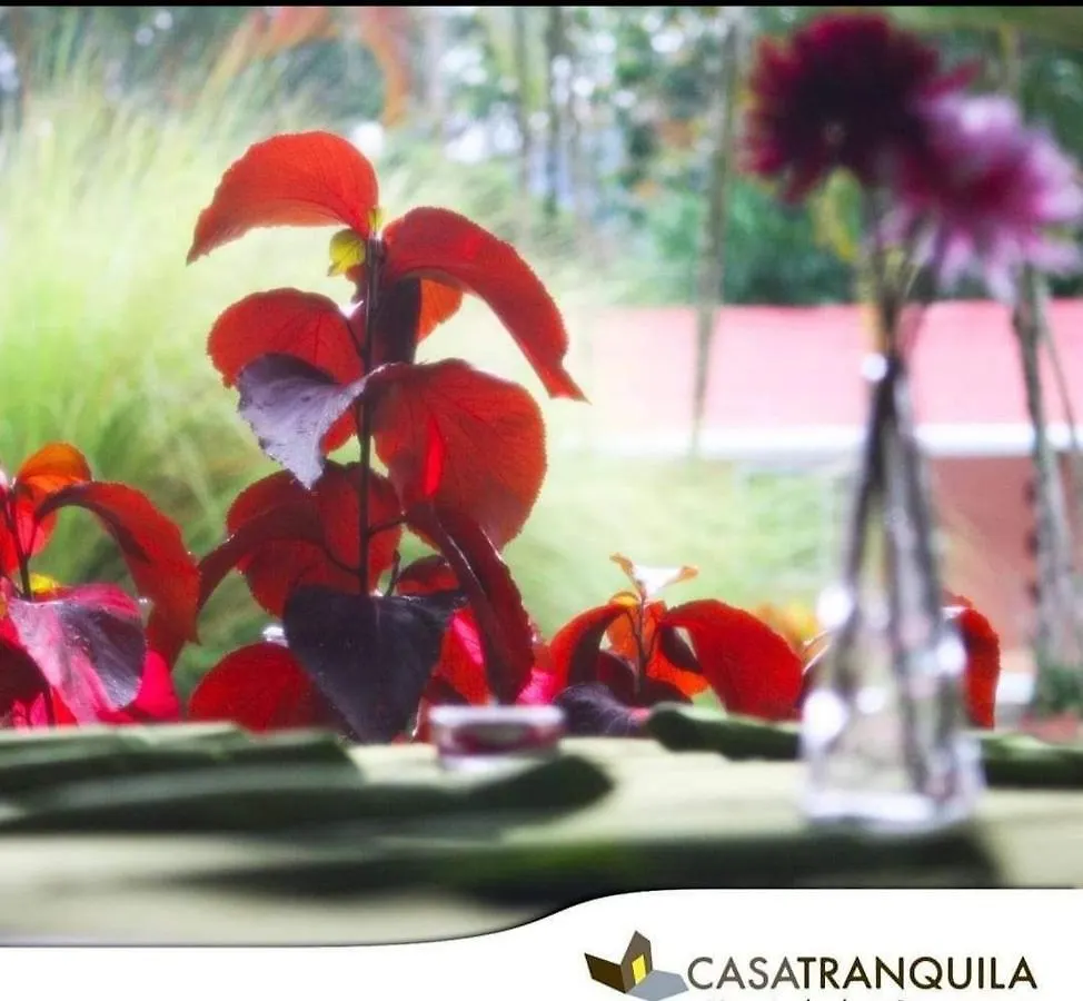 Casatranquila Hotel